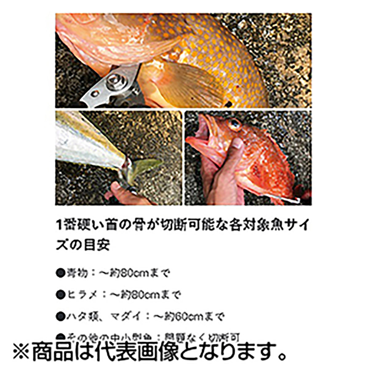 がまかつ(Gamakatsu) HDフィッシュシザー20cm LE125