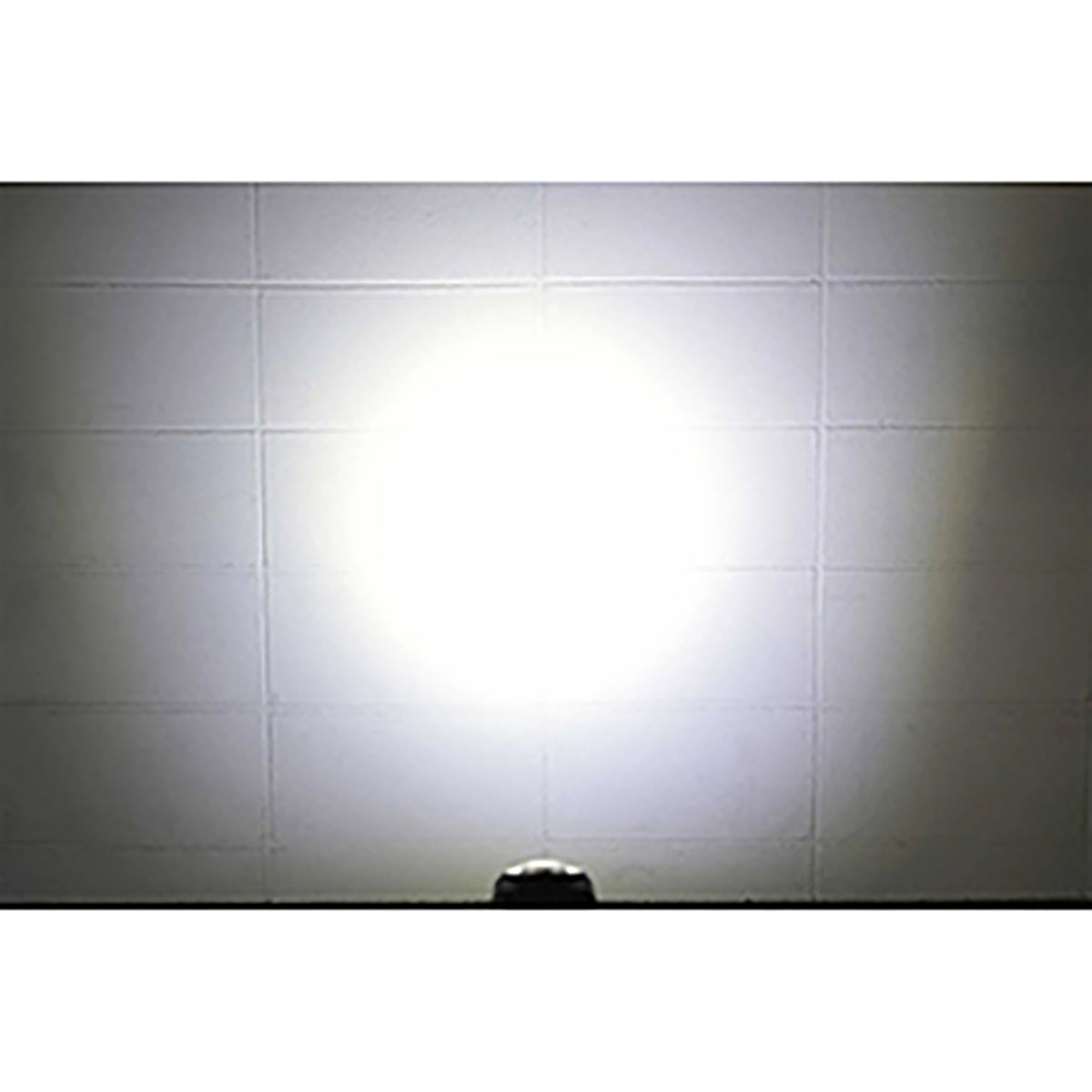 冨士灯器(FUJI-TOKI) ZEXUS ヘッドライト ZX-R40 防災 停電 対策