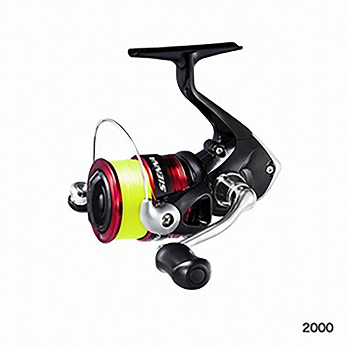 シマノ(SHIMANO) 19 シエナ 2000 2号糸付