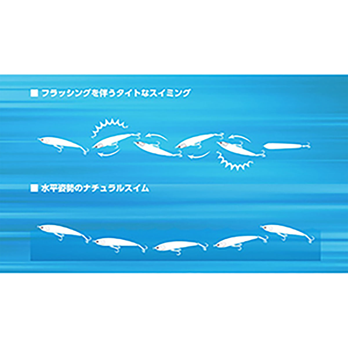 マリア(MARIA) レガートF190 B01H イワシ