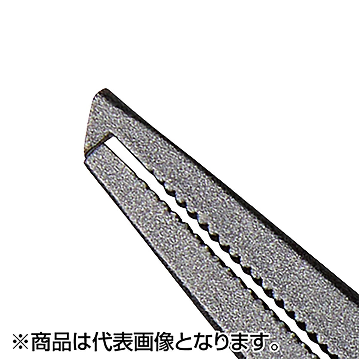 テイルウォーク(tailwalk) ディノ スケルトンプライヤー L