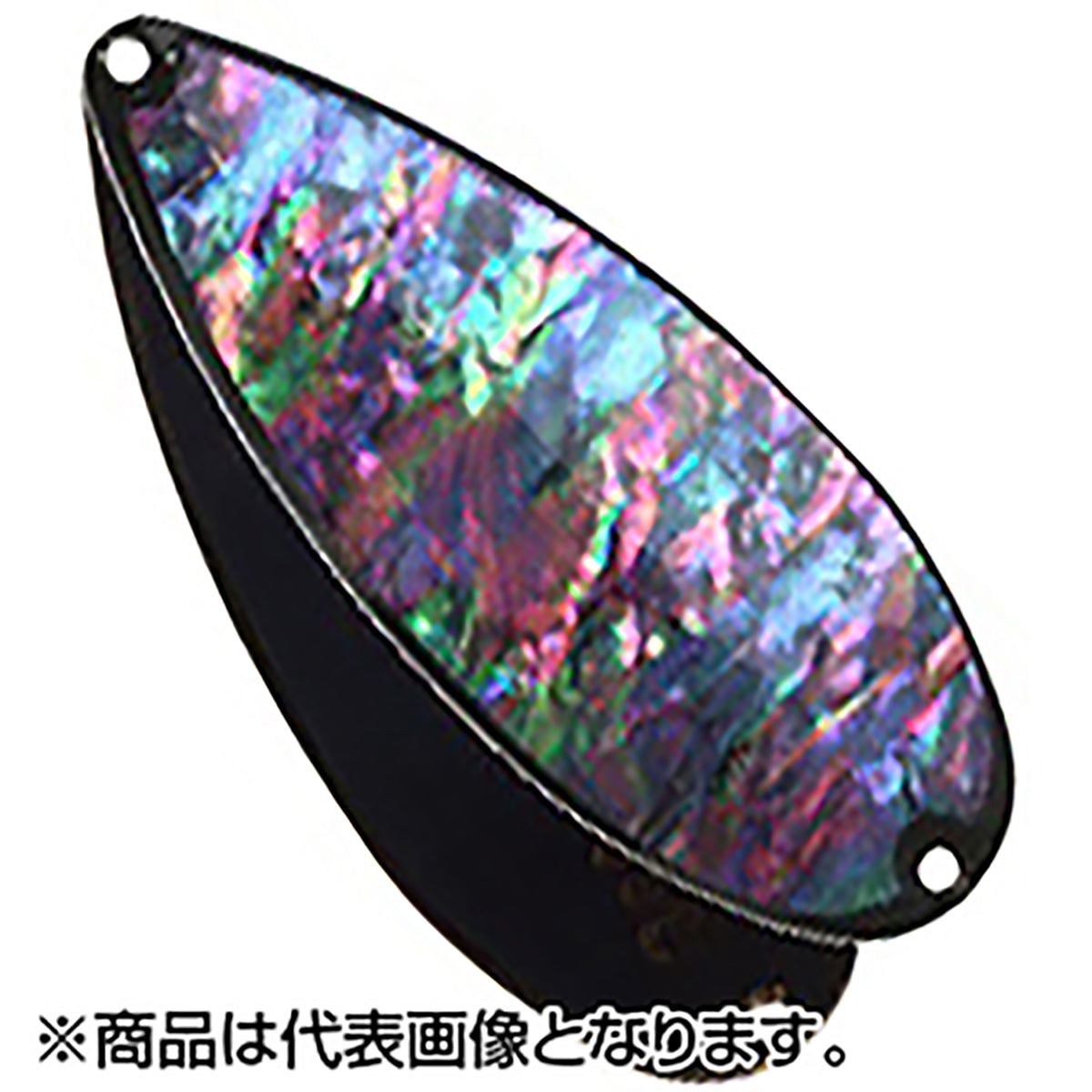 FIELD HUNTER（フィールドハンター) ノース エックス SHELL（天然日本アワビ) 55g 22 ブラック