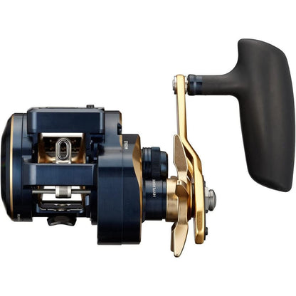 ダイワ(DAIWA) 21 ソルティガ IC 300HL-SJ 左ハンドル