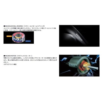 ﾀﾞ) 22ｼｰﾎﾞｰｸﾞ 200JL-DH※