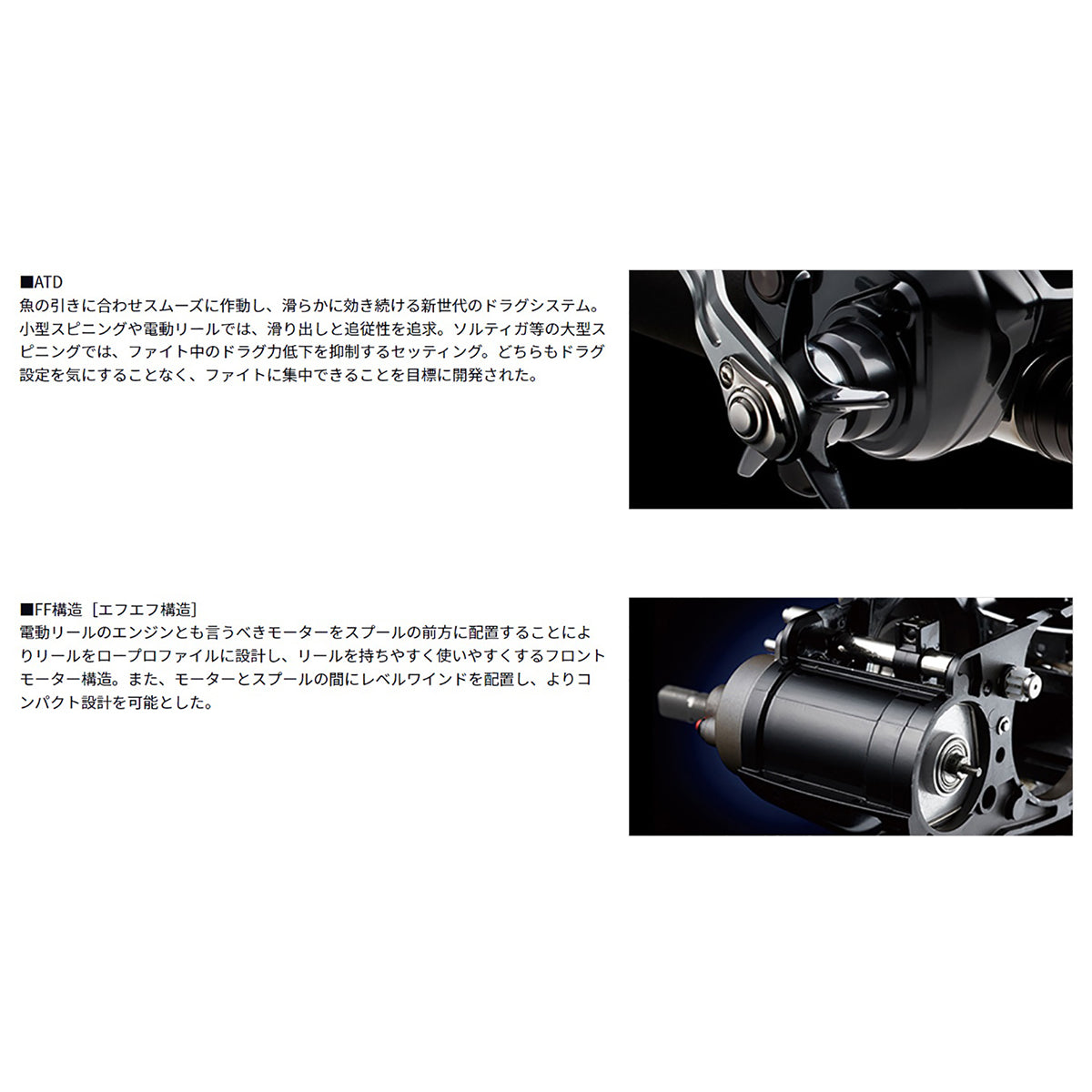 ﾀﾞ) 22ｼｰﾎﾞｰｸﾞ 200JL-DH※