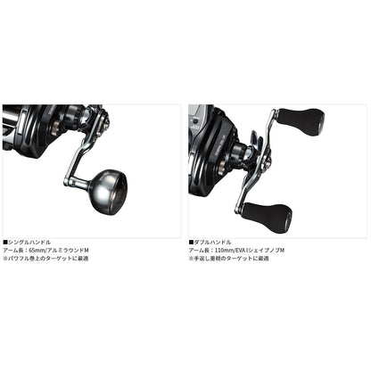 ﾀﾞ) 22ｼｰﾎﾞｰｸﾞ 200JL-DH※