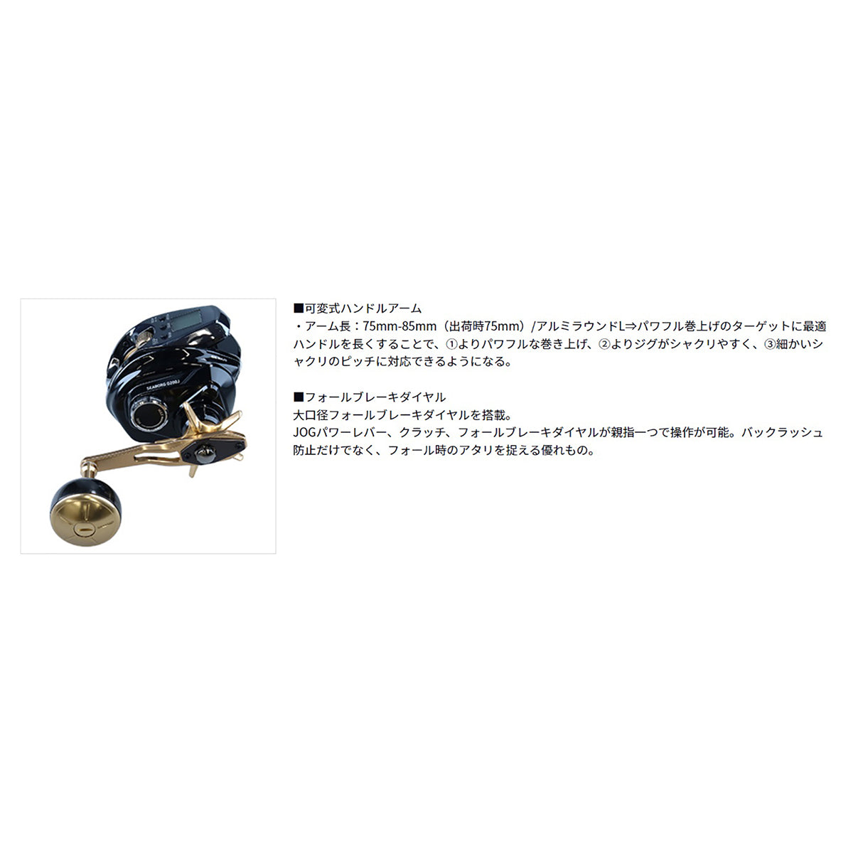 ｼｰﾎﾞｰｸﾞ G200J *