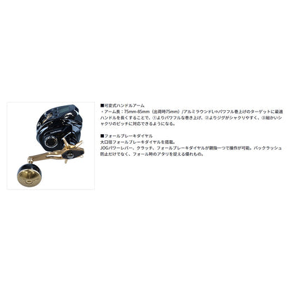 ｼｰﾎﾞｰｸﾞ G200J *