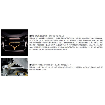 ﾀﾞｲﾜ ﾀﾄｩｰﾗ TW 400