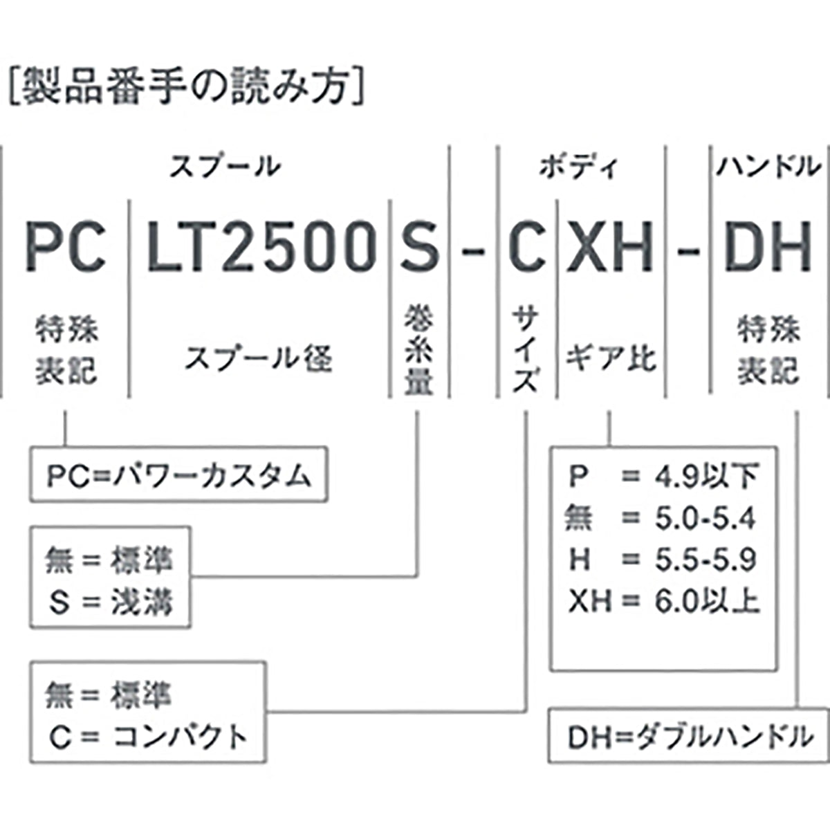 ダイワ(DAIWA) 22 イグジスト PC LT3000