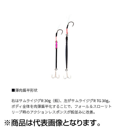 ダイワ(DAIWA) サムライジグR TG 20g ＰＨマイワシ  タングステン