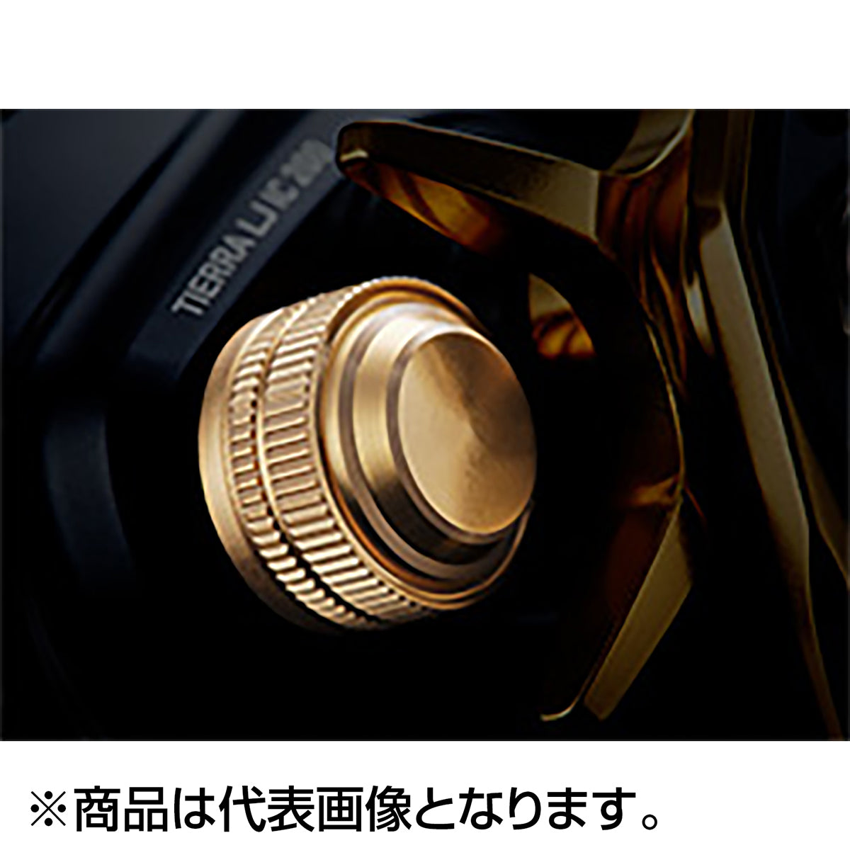 ﾃｨｴﾗLJ IC 300H *