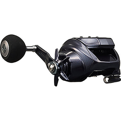 ダイワ(DAIWA) 23 レオブリッツ 300J 右ハンドル
