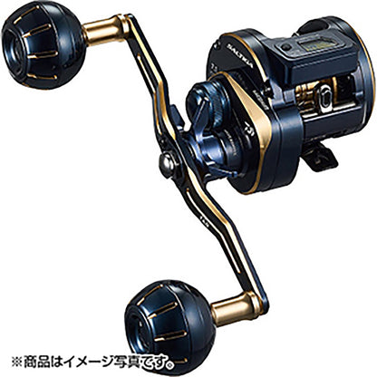 ダイワ(DAIWA) 21 ソルティガ IC 300-DH 右ハンドル