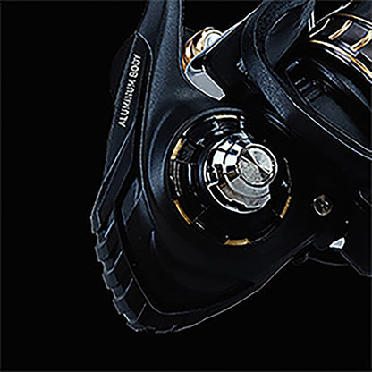 BG SW 10000-H