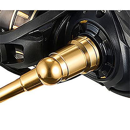 BG SW 10000-H