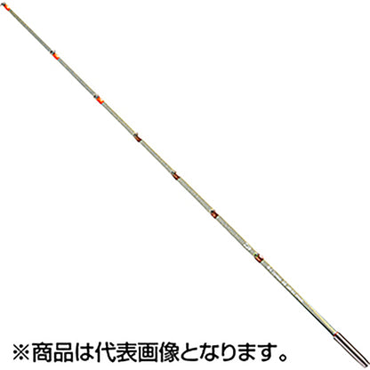 CTﾜｶｻｷﾞ 55285 SS