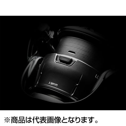 ﾙﾋﾞｱｽ ST SF2500SS-H