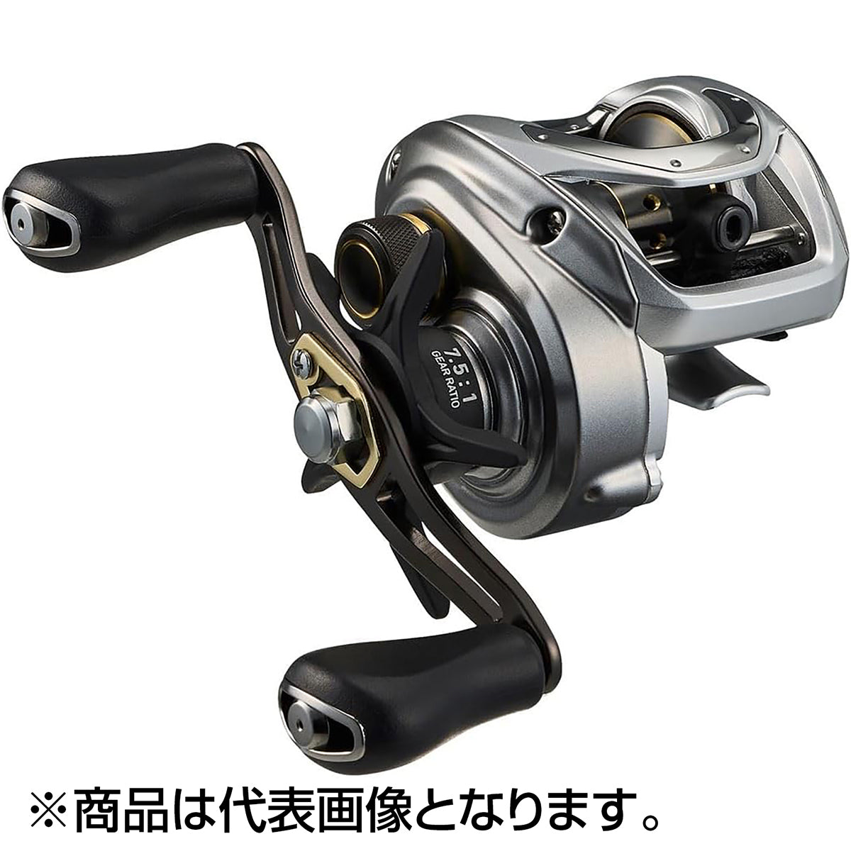 24 ﾊﾞｽ X 100HL