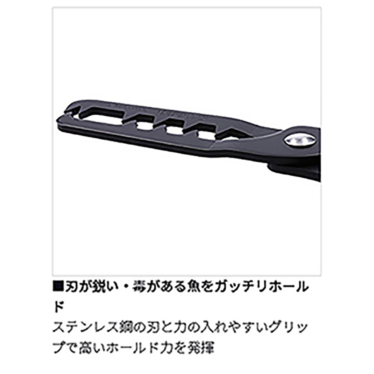 ダイワ(DAIWA) 23 フィッシュホルダー220＋F