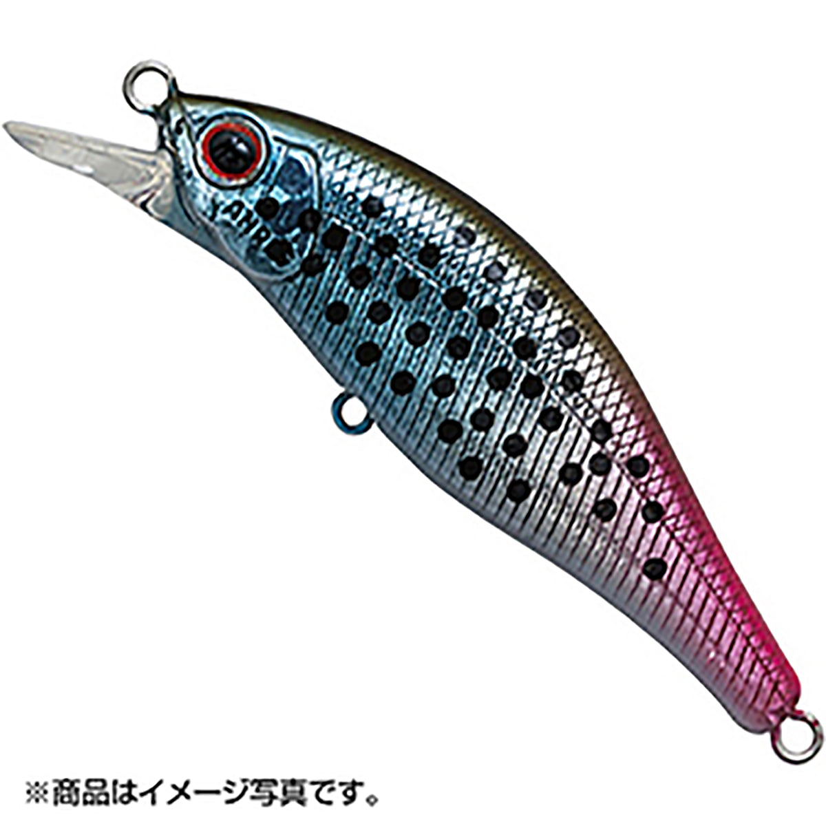 パームス(PALMS) アレキサンドラ 63HW イトウ