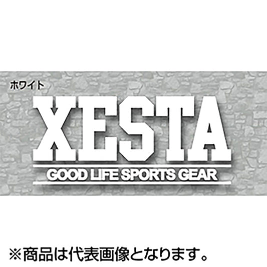 ゼスタ(XESTA) カッティングステッカー(GS/23cm) ホワイト