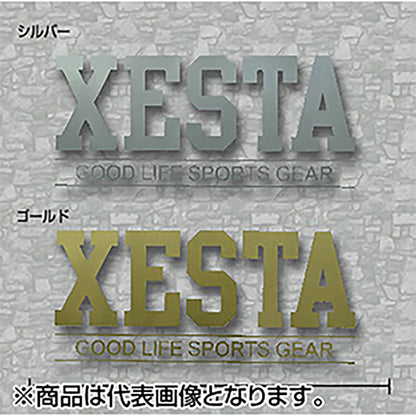 ゼスタ(XESTA) カッティングステッカー(GS/23cm) ブラック