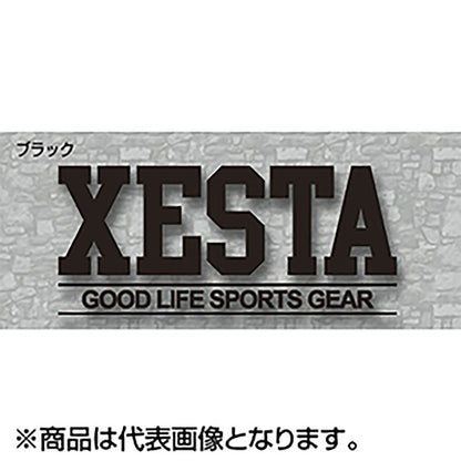 ゼスタ(XESTA) カッティングステッカー(GS/23cm) ブラック