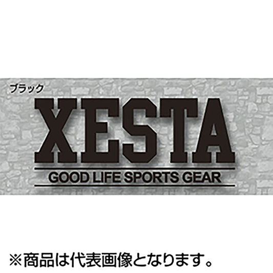 ゼスタ(XESTA) カッティングステッカー(GS/23cm) ブラック