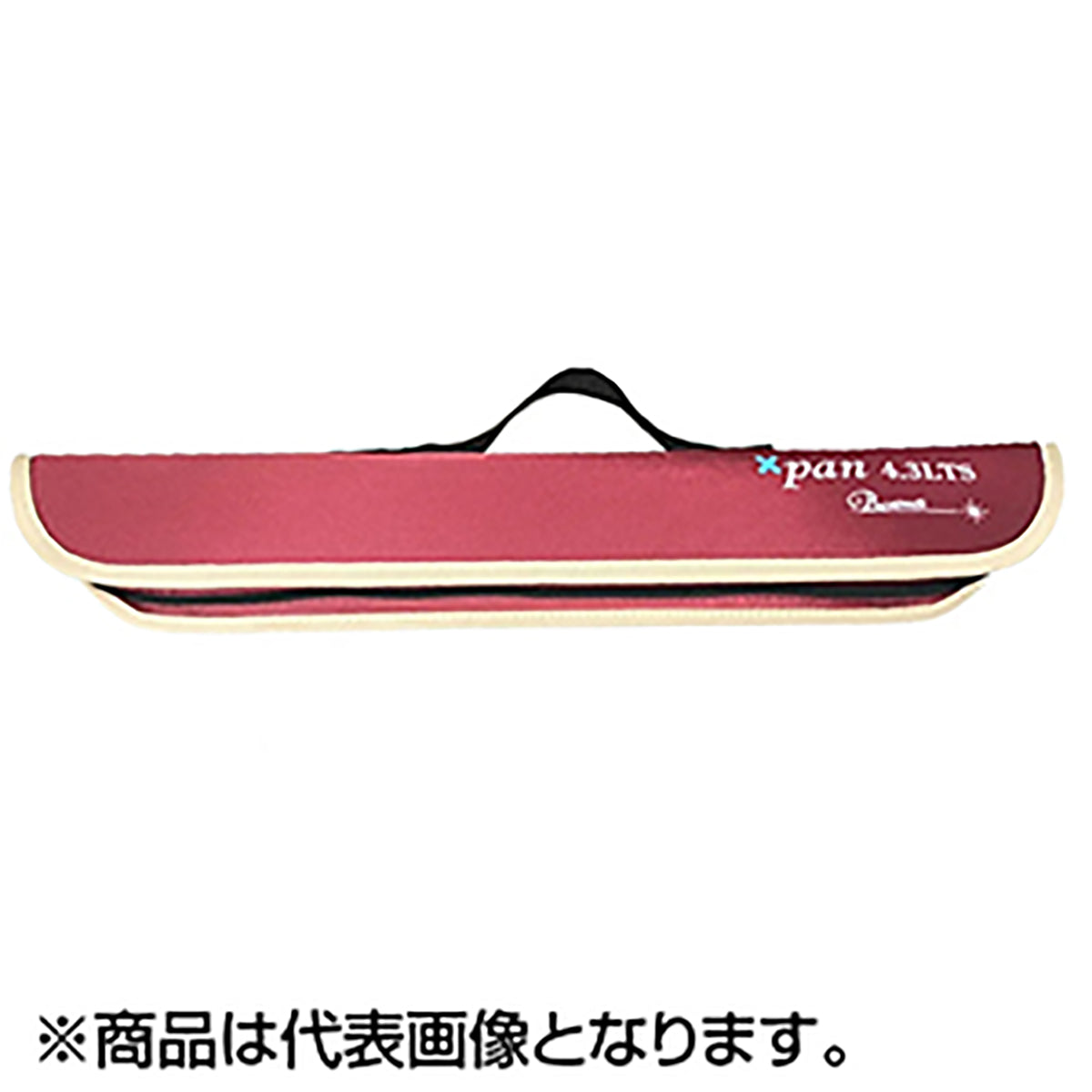 フィッシュマン(Fishman) ビームス Beams Xpan 4.3LTS