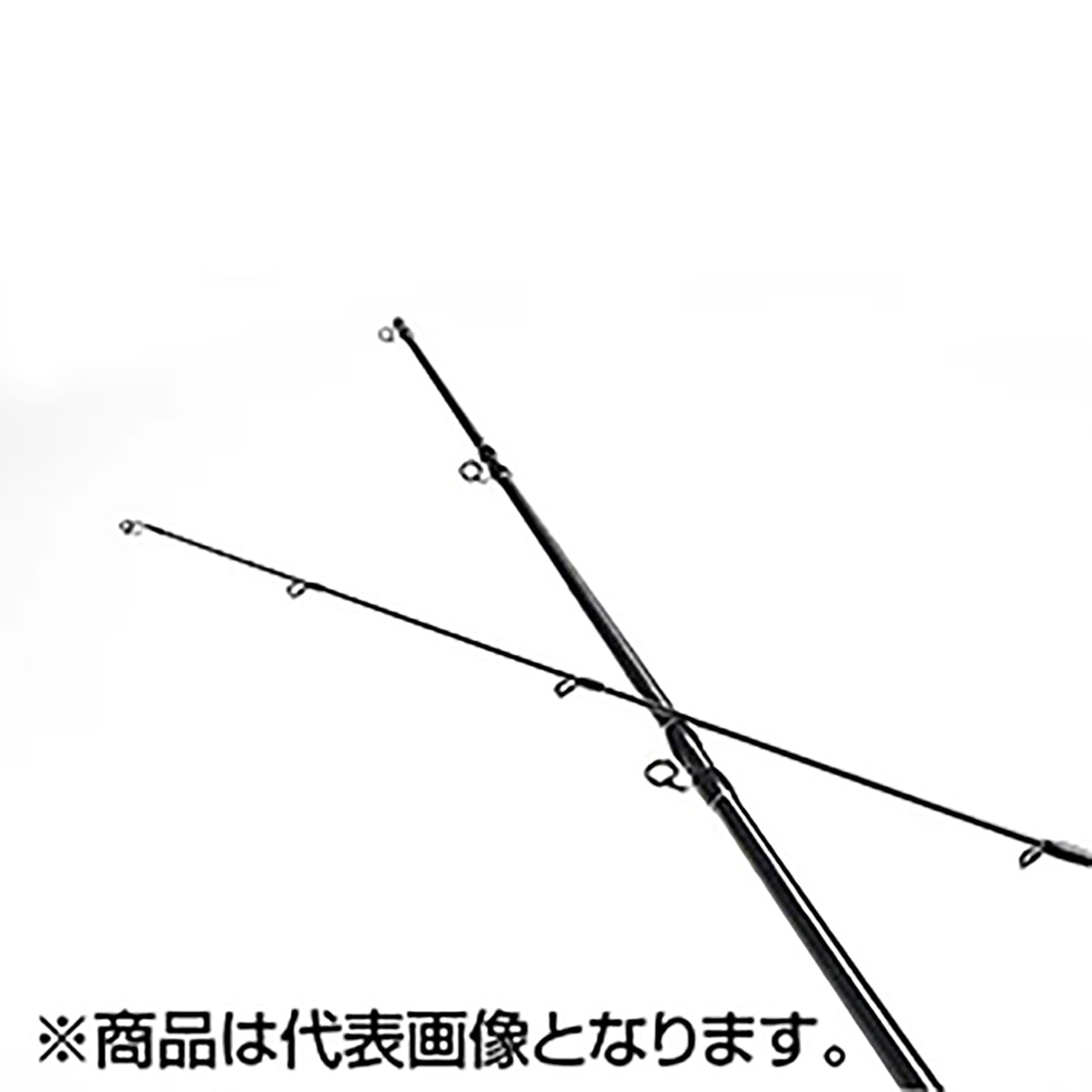 フィッシュマン(Fishman) ビームス Beams LOWER 8.6L