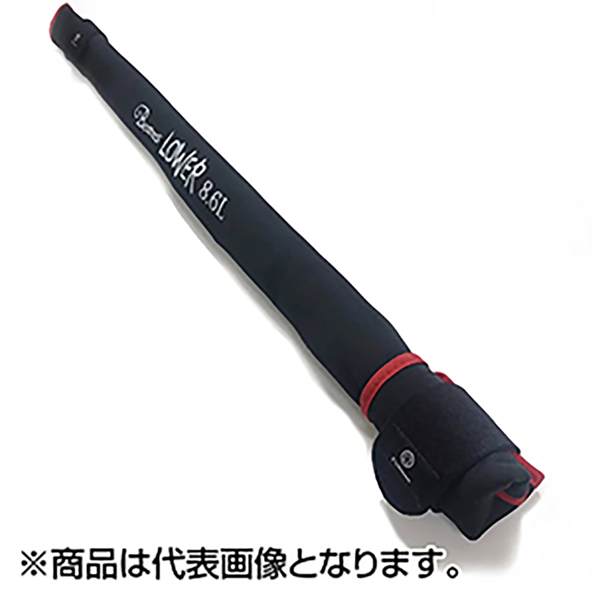 フィッシュマン(Fishman) ビームス Beams LOWER 8.6L