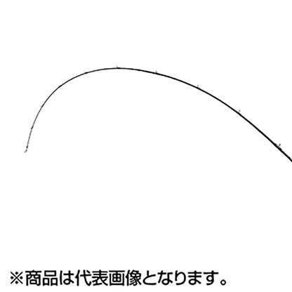 フィッシュマン(Fishman) ビームス Beams blancsierra4.8UL