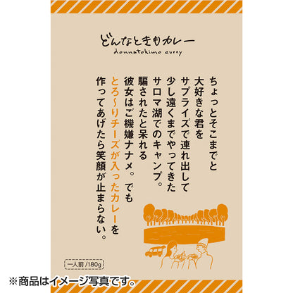 IBIC FOODS(アイビック食品) どんなときもカレー とろ～りチーズが入ったカレー 180g レトルト パウチ 美味しい アウトドア キャンプ 防災