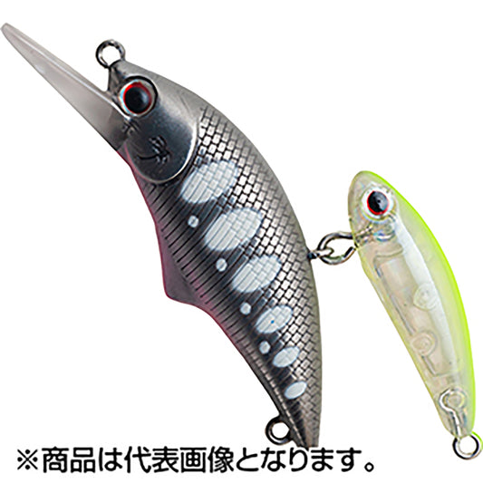 パームス(PALMS) アレキサンドラ・シェード AXS-43S MAL322#5 マットグローヤマメ＃5 Alexandra Shade