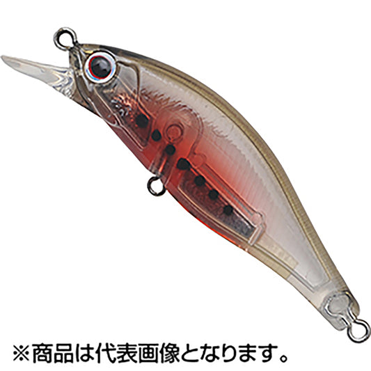 パームス(PALMS) アレキサンドラ35th記念カラー 63mm C-268 アンモシーテス AX-63HW