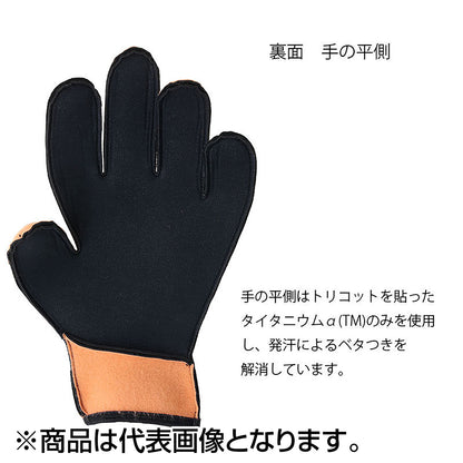 リトルプレゼンツ(LITTLE PRESENTS) タイタニュームα ウォーム グローブ XL ブラック G-05
