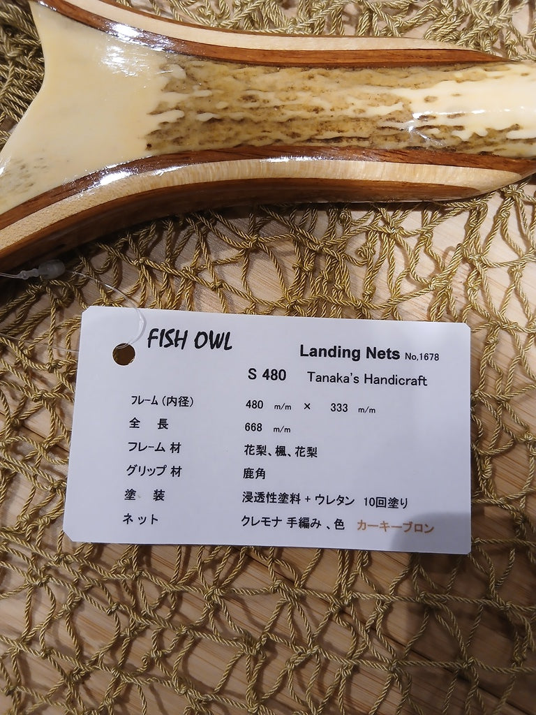 フィッシュアウル　　4943802965275