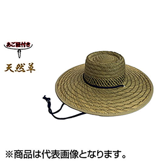 コヒナタ(KOHINATA) 太イ草ヤマタカ 10382