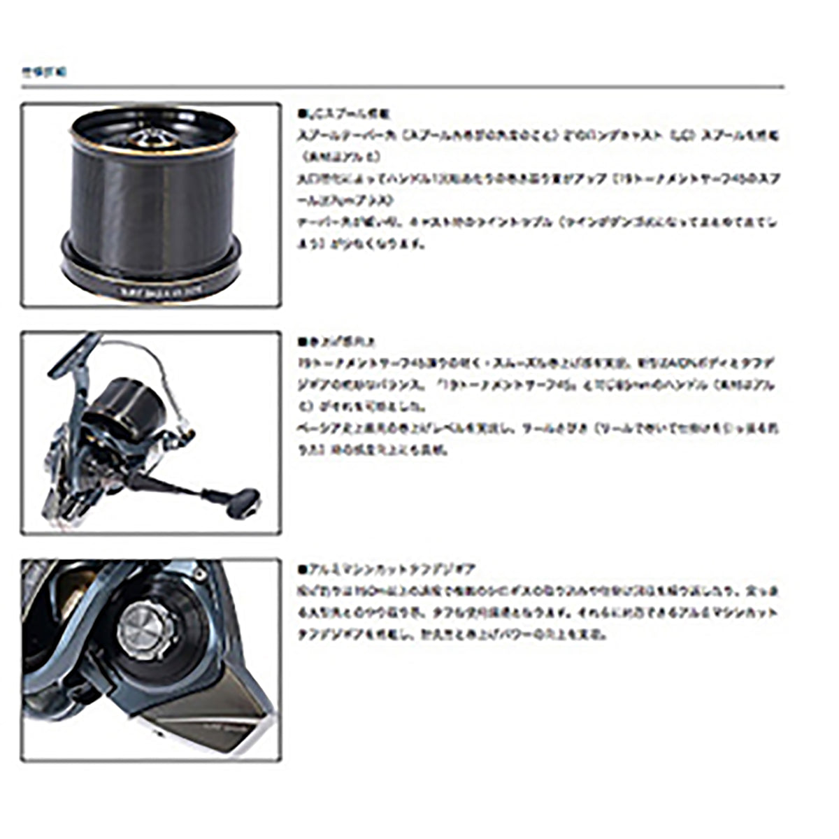 ダイワ(DAIWA) 21 サーフ ベーシア 45 06PE