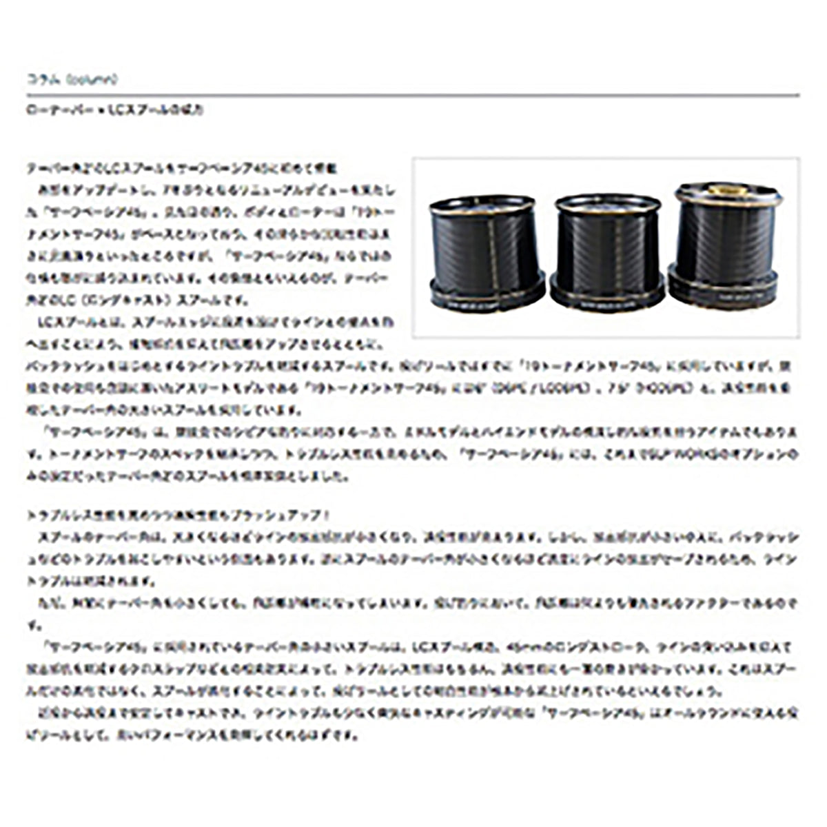 ダイワ(DAIWA) 21 サーフ ベーシア 45 15PE