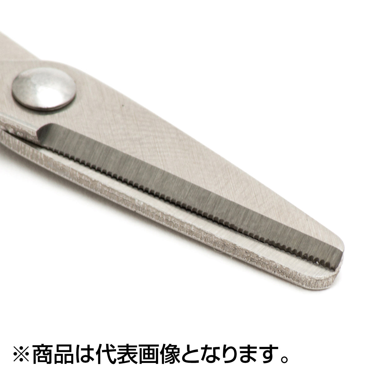 第一精工(DAIICHISEIKO) MCシザーズ25 ダークアース