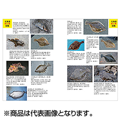つり人社 北海道の海釣り入門