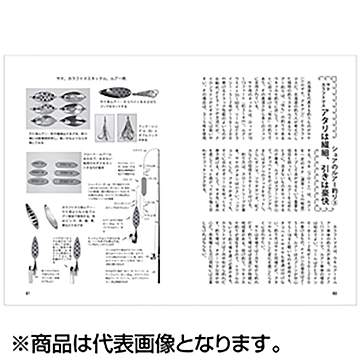 つり人社 北海道の海釣り入門