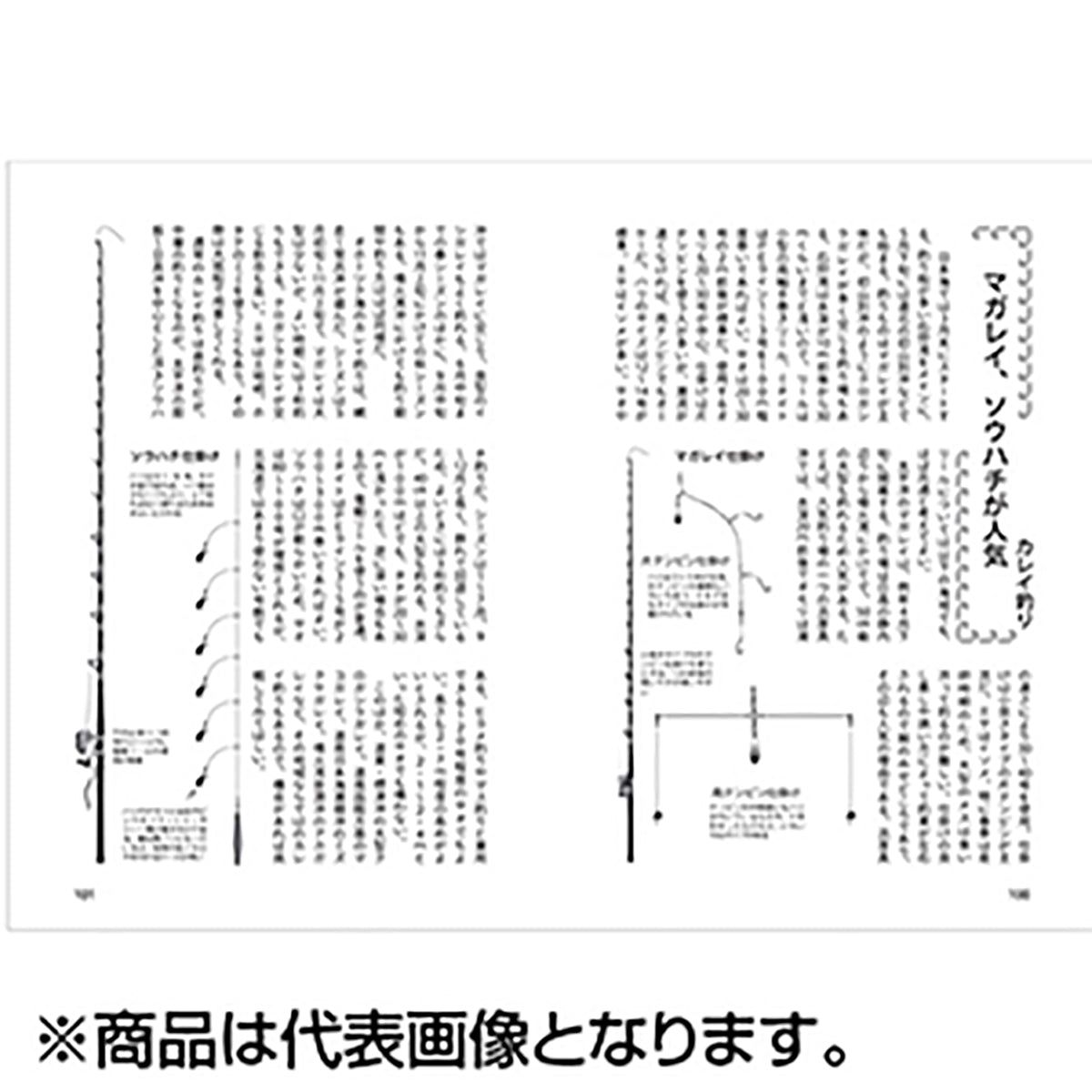つり人社 北海道の海釣り入門